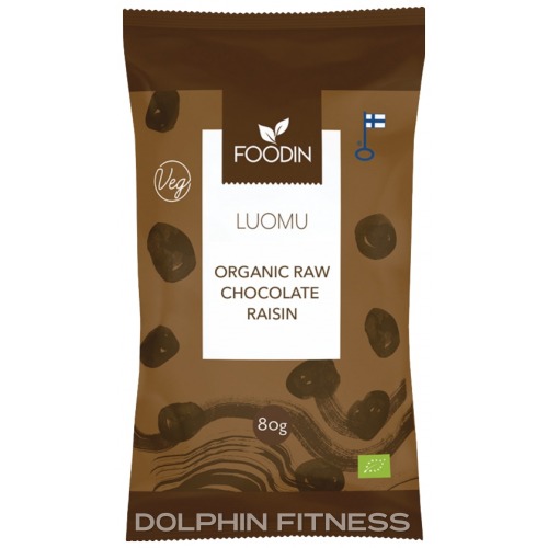 Organic Raw Chocolate Raisin