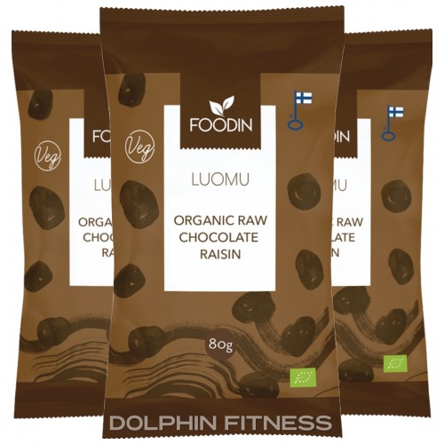 Organic Raw Chocolate Raisin