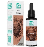 Kaapa Mushrooms Chaga Mushroom Organic Extract Tincture