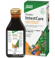Floradix IntestCare