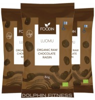 Foodin Organic Raw Chocolate Raisin