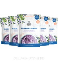 Arctic Power Blueberry Powder