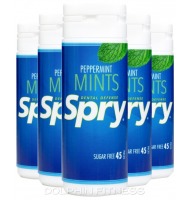 Xlear Dental Defense Spry Mints
