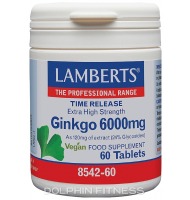 Lamberts Ginkgo 6000 mg