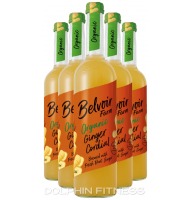 Organic Ginger Cordial (6 x 500 ml)