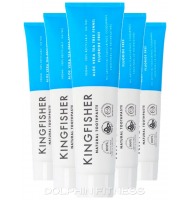 Kingfisher Aloe Vera Tea Tree Fennel Fluoride Free Toothpaste